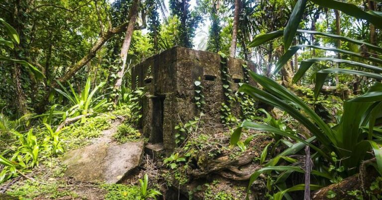 Read more about the article 5,000-Year-Old Fortress Found: Hidden Ancient Stronghold Uncovered in Stunning Archaeological Discovery 2025