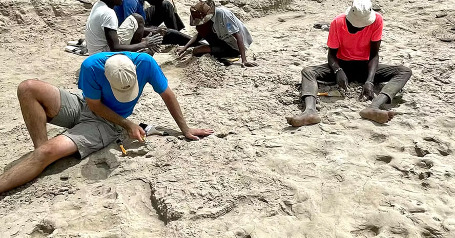 You are currently viewing 1.5M Year Old Footprints Discovered: Scientists Uncover Fossilized Tracks That Could Rewrite History