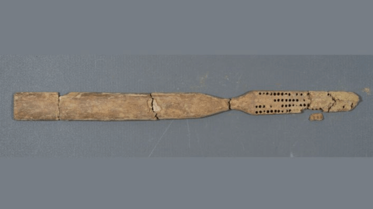 a toothbrush carved from bone, confederate remains